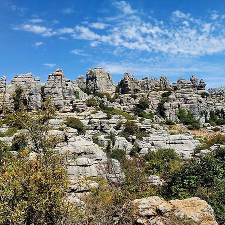 Cactus Hill - Safari Tents - Caminito Del Rey อะโลรา ภายนอก รูปภาพ