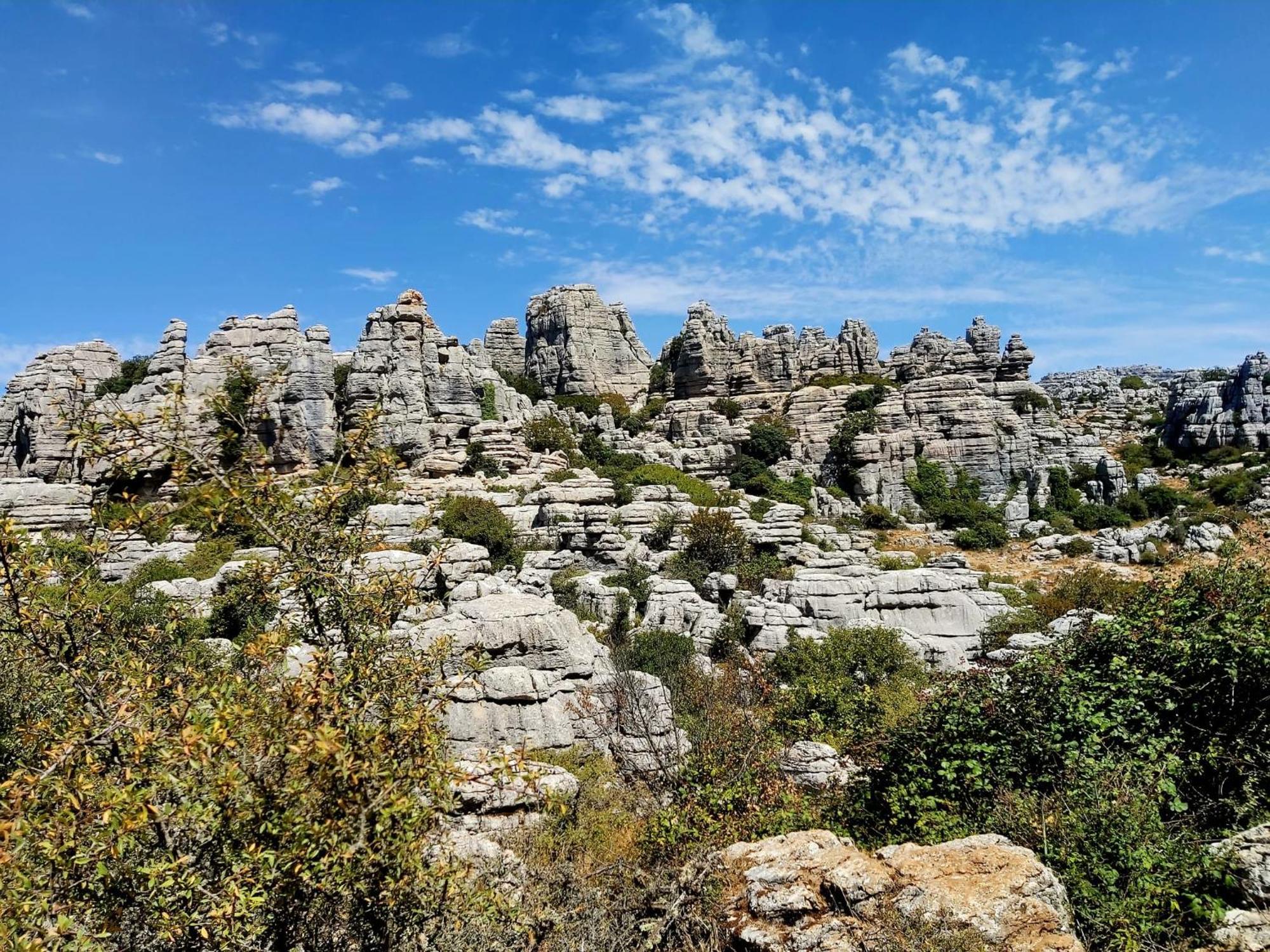 Cactus Hill - Safari Tents - Caminito Del Rey อะโลรา ภายนอก รูปภาพ